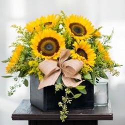 Box Full of Sunshine from Visser's Florist and Greenhouses in Anaheim, CA