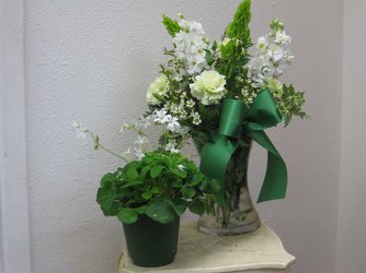 St. Pats Special from Visser's Florist and Greenhouses in Anaheim, CA
