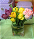 Tulips Drawn Together