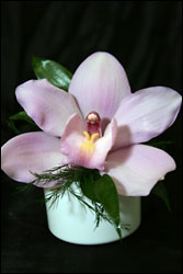 Visser's Light Pink Cymbidium Bout. from Visser's Florist and Greenhouses in Anaheim, CA