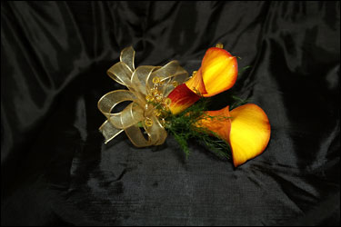 Visser's Double Orange Calla from Visser's Florist and Greenhouses in Anaheim, CA