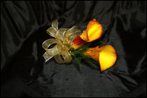 Visser's Double Orange Calla