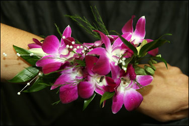Visser's Dendro Corsage