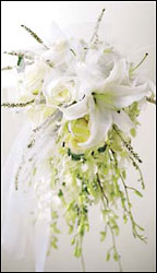 Visser's Cascading Bridal Bouquet from Visser's Florist and Greenhouses in Anaheim, CA