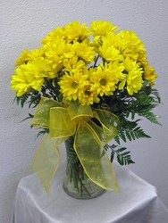 Sunny Yellow Daisies 