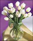 Tulip Bouquet 