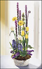 Spirit of Spring Basket