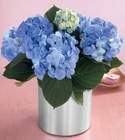 Spring Sweetness Planter