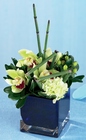 Exotic Glory Arrangement