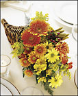 Bountiful Color Cornucopia