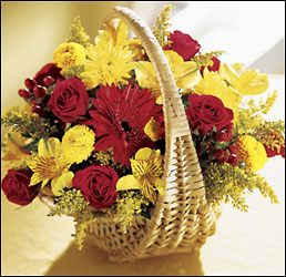 Crescendo of Color Bouquet