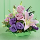 Lily For Your Thoughts Arrangement