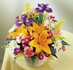 Natural Wonders Bouquet