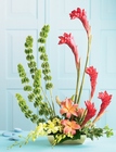 Touch of Tropics Arrangement