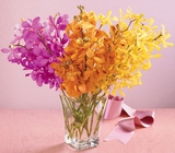 Beautiful Expressions Bouquet