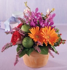 Bursts of Color Arrangement