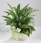 Woodland Greens Basket