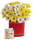 Chicken Soup for the Soul Bouquet