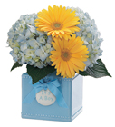 Sweet Dreams Bouquet - Boy