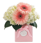 Sweet Dreams Bouquet - Girl