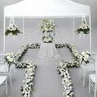 White Elegant Ceremony