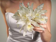 Bridal Bouquet