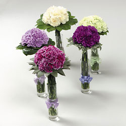 Carnation Bouquets
