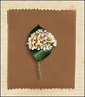 Tiny Blossoms Boutonniere