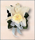 Japhet Orchid Corsage
