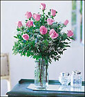 A Dozen Pink Roses