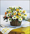/images/telvignette03/tf36-2lg.jpg Joyful Roses and Daisies