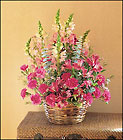 /images/telvignette03/tf8-3lg.jpg Pink Power