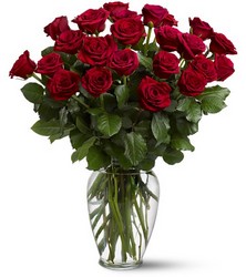 Two Dozen Red "Freedom" Roses, provided by Visser's Florist in Orange County, CA