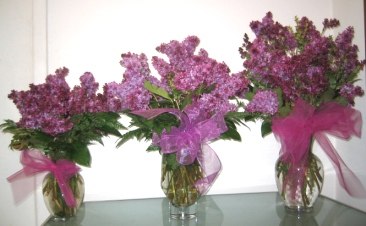 Lilac is Finally Here! By, Visser's Florist &amp; Greenhouses