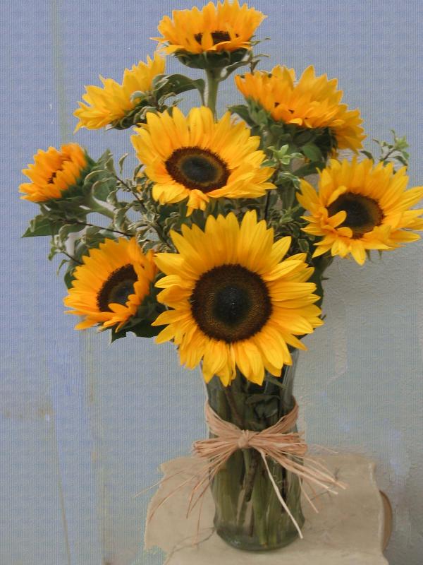 Sunflower Bouquet, by Visser's Florist