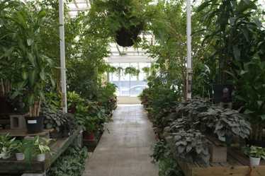 Picture of Greenhouse #2