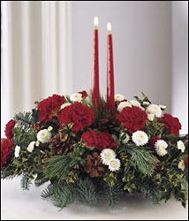 Festive Flowers for the Holiday Season