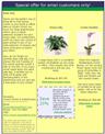 Visser's Spring Plants Newsletter
