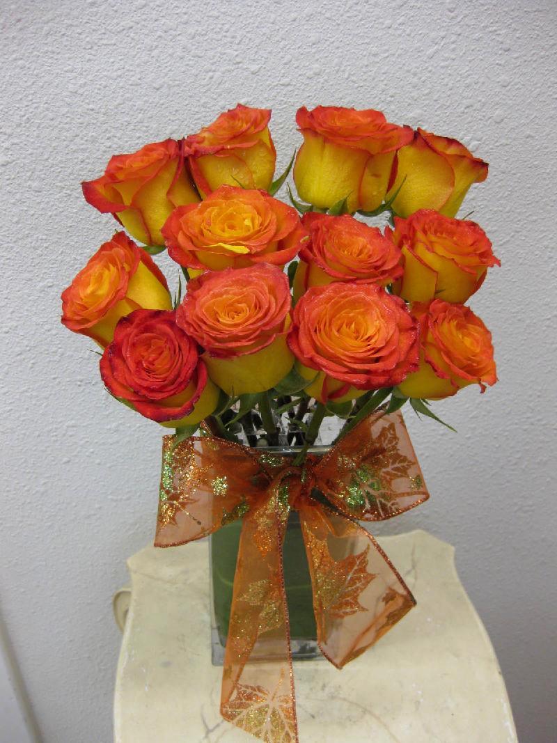 Orange Rose Special