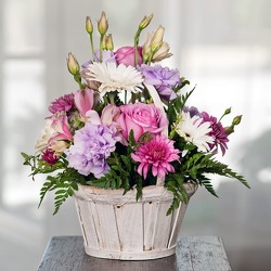 Basket of Love from Visser's Florist and Greenhouses in Anaheim, CA