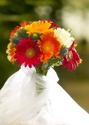 Gerber Bridal Bouquet from Visser's Florist and Greenhouses in Anaheim, CA