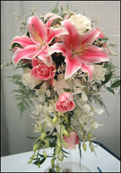Visser's Pink Cascade from Visser's Florist and Greenhouses in Anaheim, CA