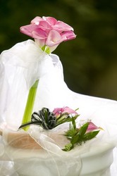 Pink Calla Lily Set from Visser's Florist and Greenhouses in Anaheim, CA