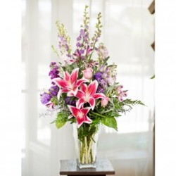 Stargazing Blooms from Visser's Florist and Greenhouses in Anaheim, CA