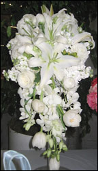Visser's White Cascade from Visser's Florist and Greenhouses in Anaheim, CA