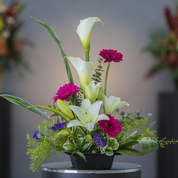 Blissful Mornings from Visser's Florist and Greenhouses in Anaheim, CA