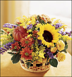 Autumn Medley Basket from Visser's Florist and Greenhouses in Anaheim, CA