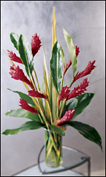 Sunset Bouquet from Visser's Florist and Greenhouses in Anaheim, CA