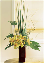 Touch of Tropics Arrangement from Visser's Florist and Greenhouses in Anaheim, CA