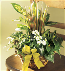 Village Square Planter from Visser's Florist and Greenhouses in Anaheim, CA